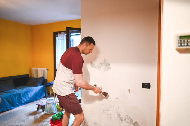 Best Preventive Mold Services in Derby, CT